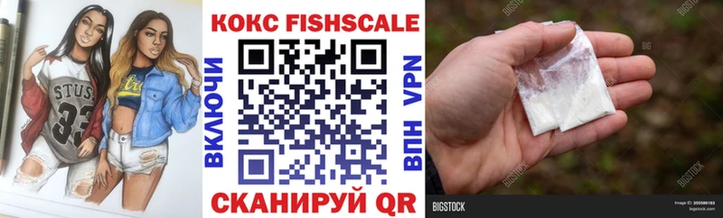 КОКАИН FishScale  наркота  Полярный 