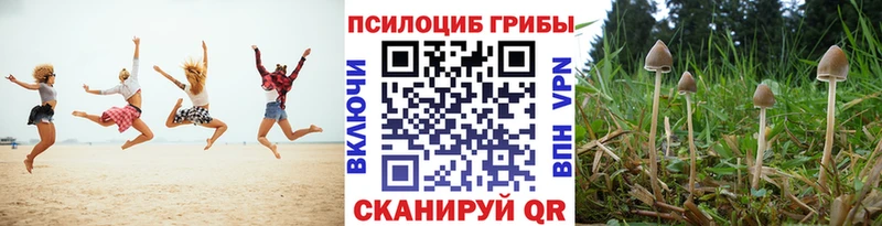 Галлюциногенные грибы ЛСД купить наркотики цена мега сайт Полярный