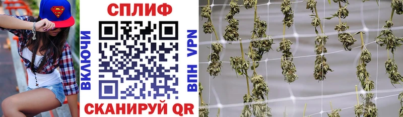 купить наркоту  Полярный  Конопля планчик 